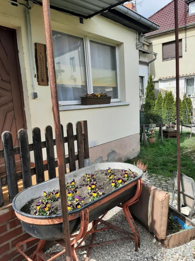 Apartment Sorgenfrei Капут Экстерьер фото